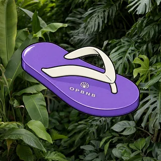 FlipFlops #400