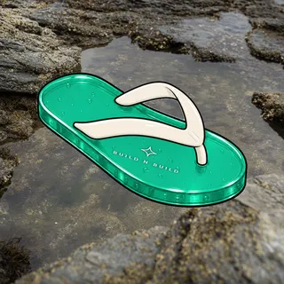 FlipFlops #412