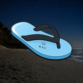 FlipFlops #423
