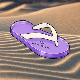 FlipFlops #427
