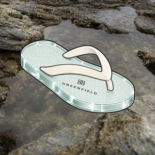 FlipFlops #45