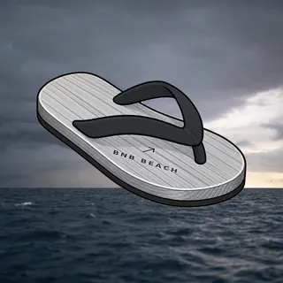 FlipFlops #46
