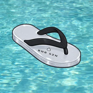 FlipFlops #473