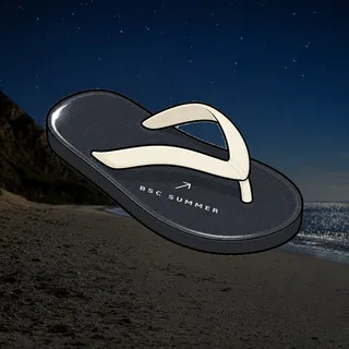 FlipFlops #478
