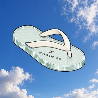 FlipFlops #479