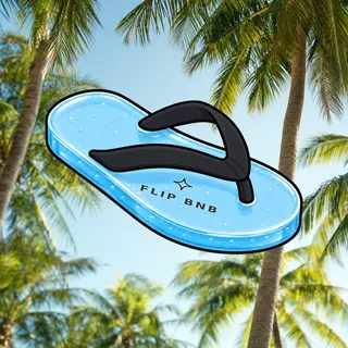 FlipFlops #492