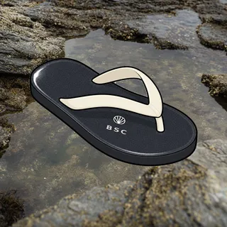 FlipFlops #496