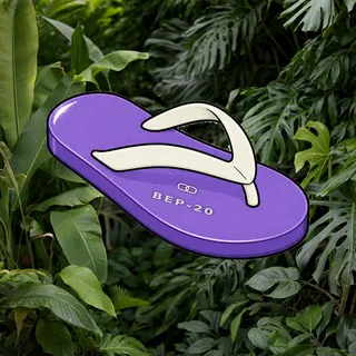 FlipFlops #504