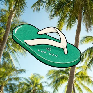 FlipFlops #52