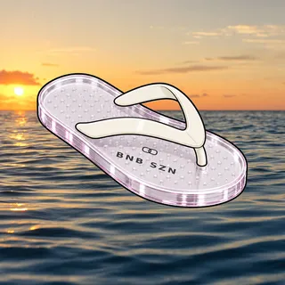 FlipFlops #520