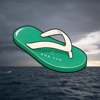 FlipFlops #521