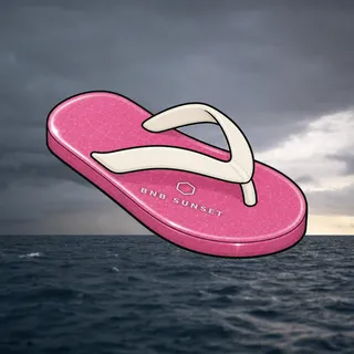 FlipFlops #546