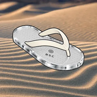 FlipFlops #548