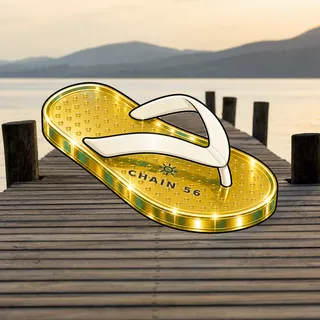FlipFlops #551