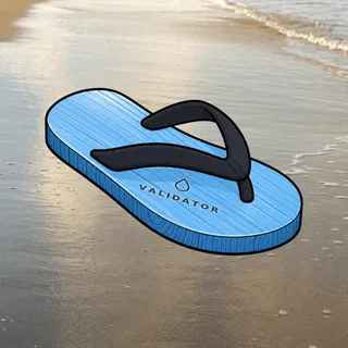 FlipFlops #553
