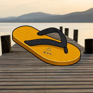 FlipFlops #570
