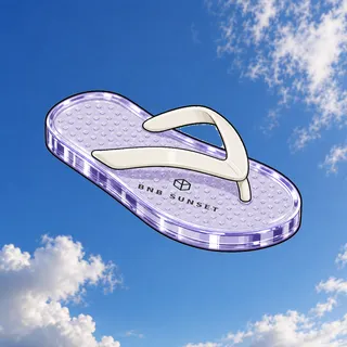 FlipFlops #587