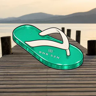 FlipFlops #61