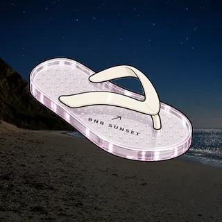 FlipFlops #62