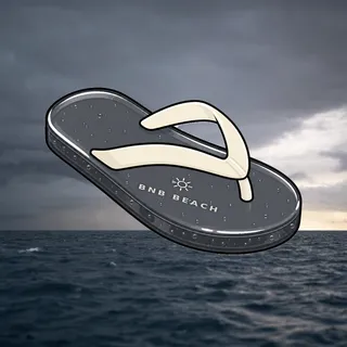 FlipFlops #631