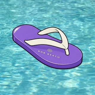 FlipFlops #644