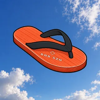 FlipFlops #65