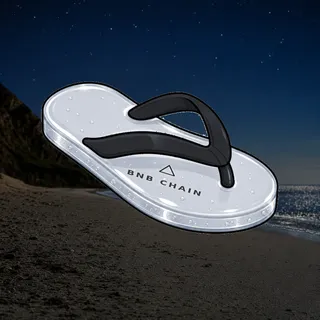 FlipFlops #650