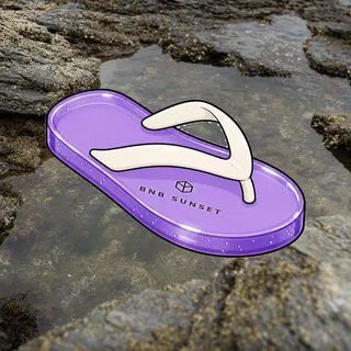 FlipFlops #667
