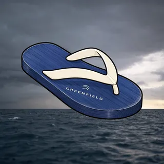 FlipFlops #67
