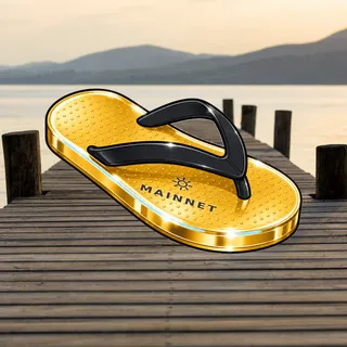 FlipFlops #679