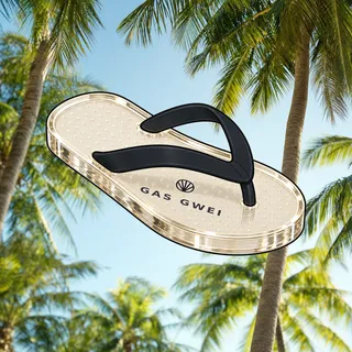FlipFlops #688