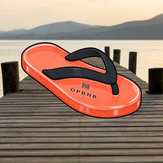 FlipFlops #69
