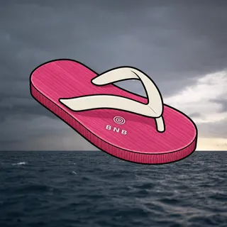 FlipFlops #692