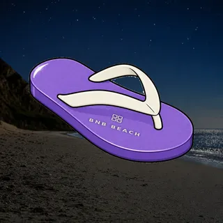 FlipFlops #701