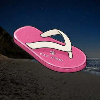 FlipFlops #704