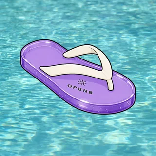 FlipFlops #71
