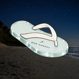 FlipFlops #718