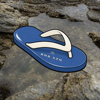 FlipFlops #739