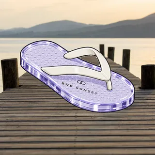 FlipFlops #744