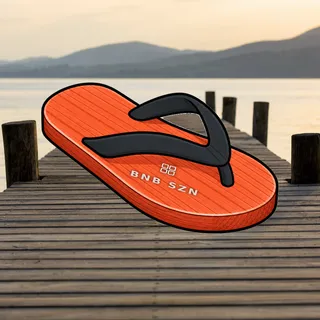 FlipFlops #749