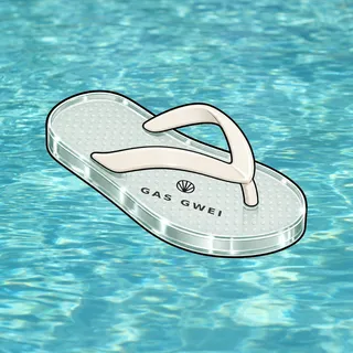 FlipFlops #752