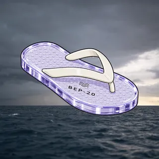 FlipFlops #758