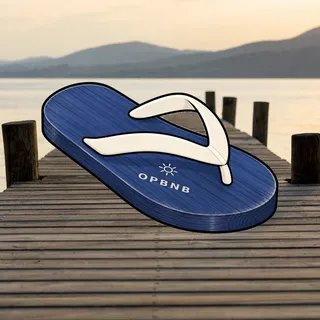 FlipFlops #759