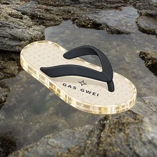 FlipFlops #76