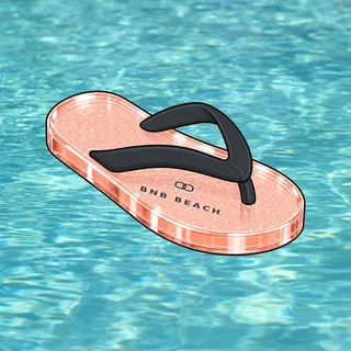 FlipFlops #760