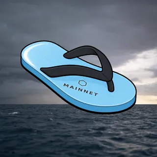 FlipFlops #770