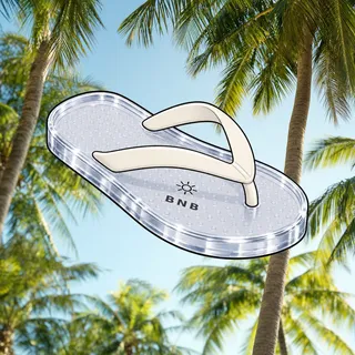 FlipFlops #791