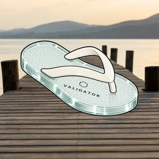 FlipFlops #802