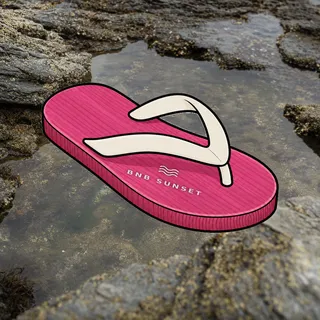 FlipFlops #806