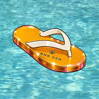FlipFlops #816